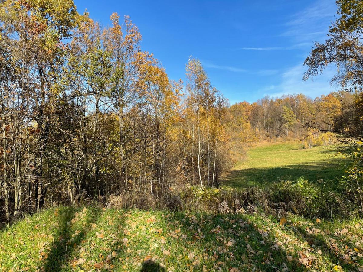 Domki Marczyce Sosnówka Exteriör bild